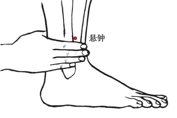 落枕针灸悬钟穴部位图