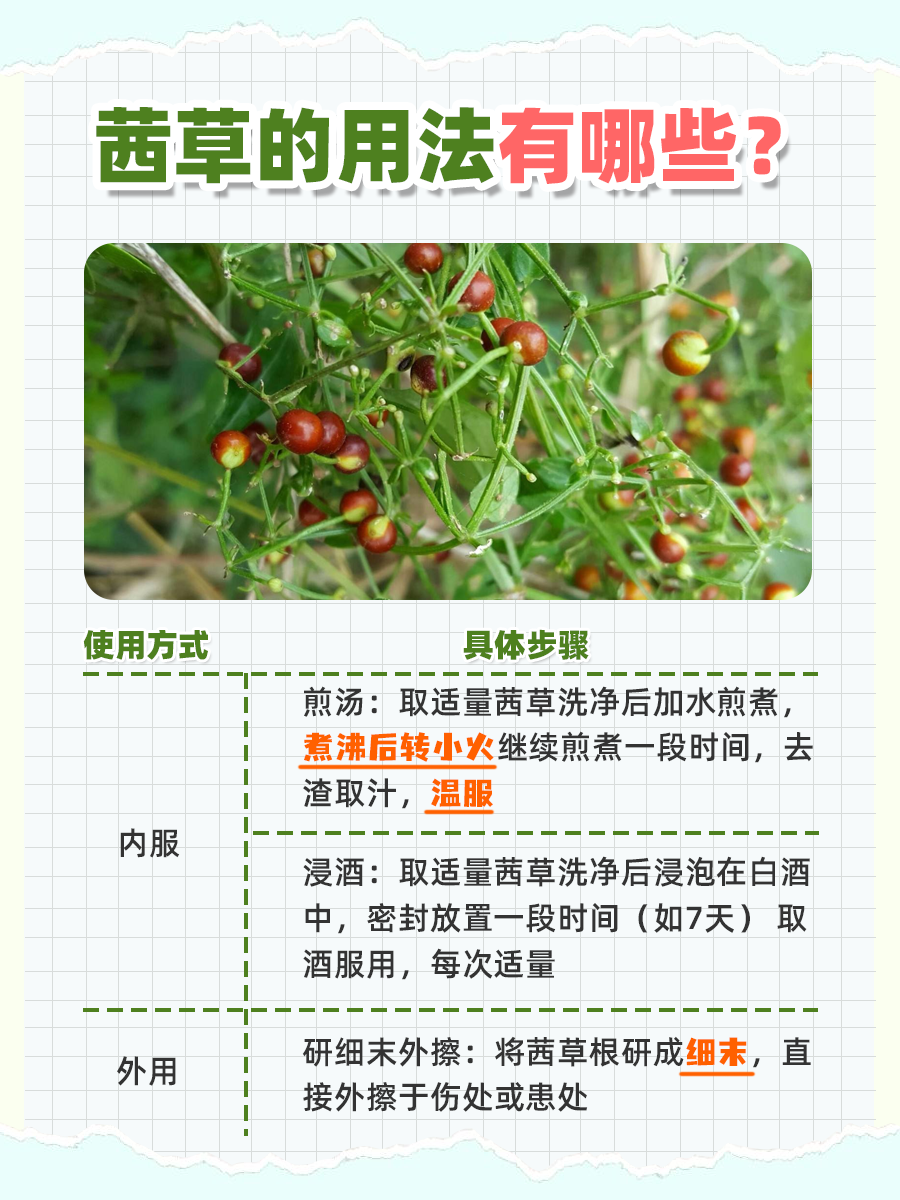 中医瑰宝——鸿茅的药用价值与功效