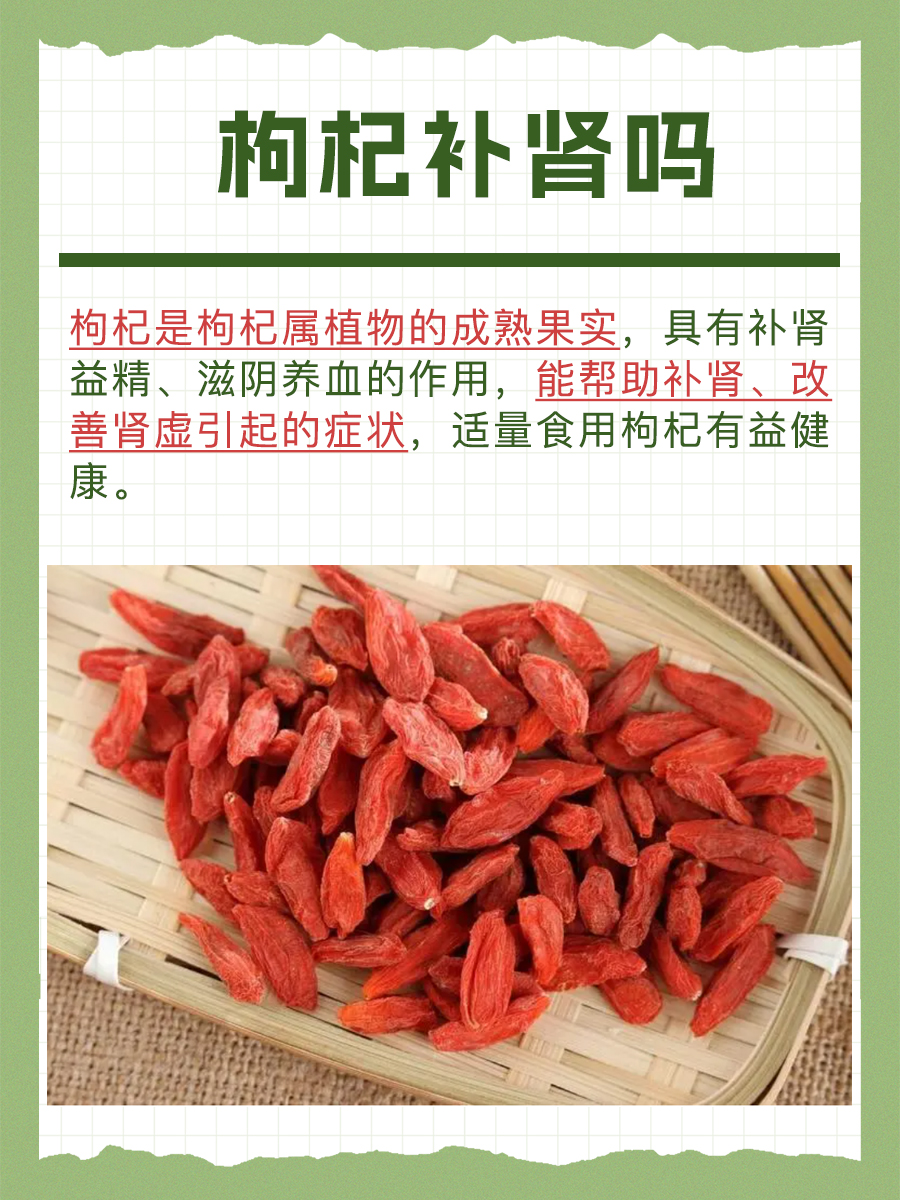 枸杞真的能补肾吗？真相在这里！