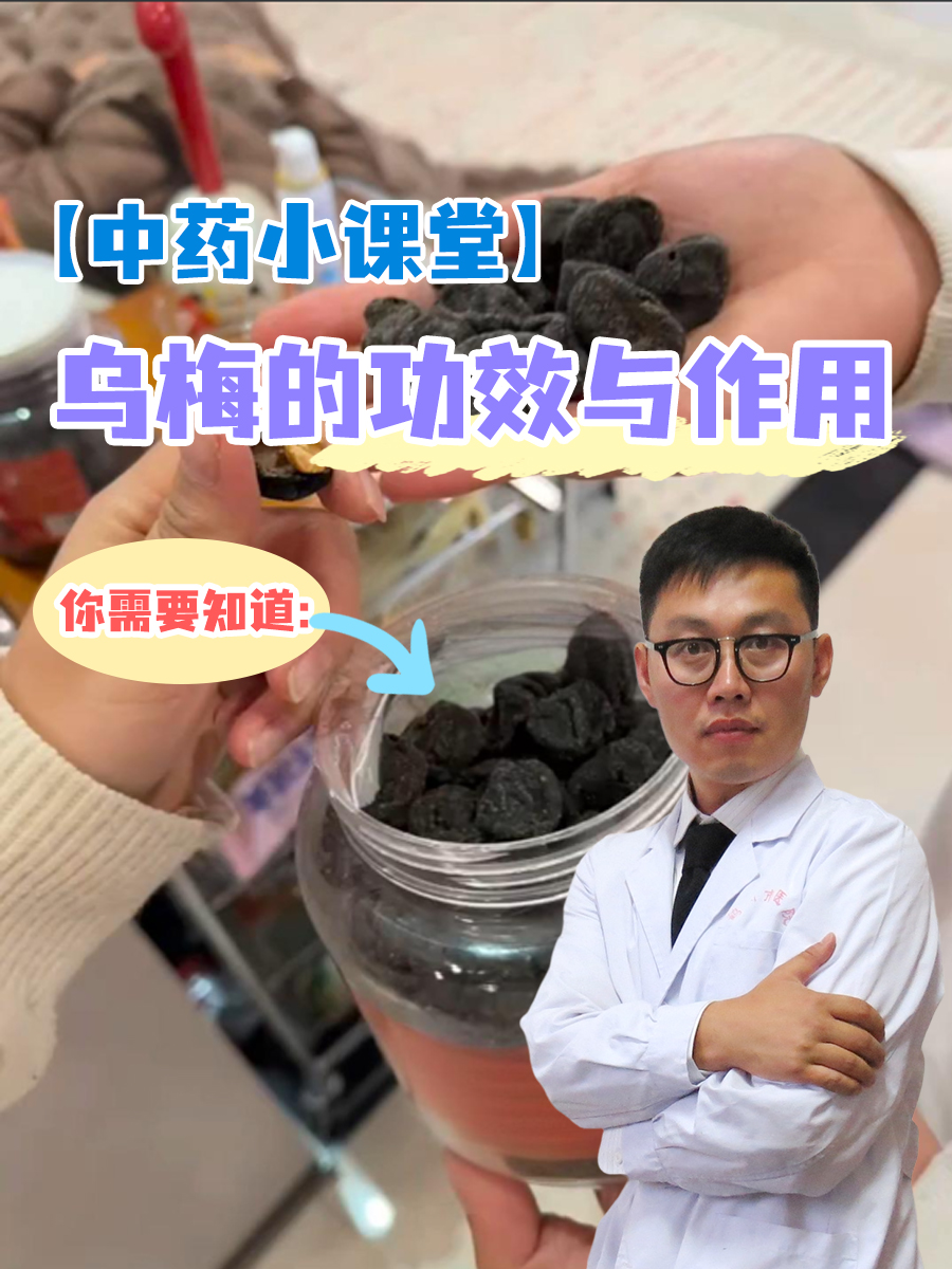 【中药小课堂】乌梅的功效与作用