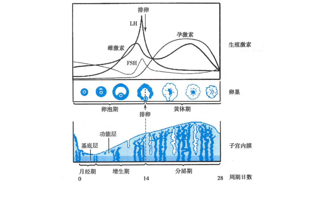 酸效应曲线图图片