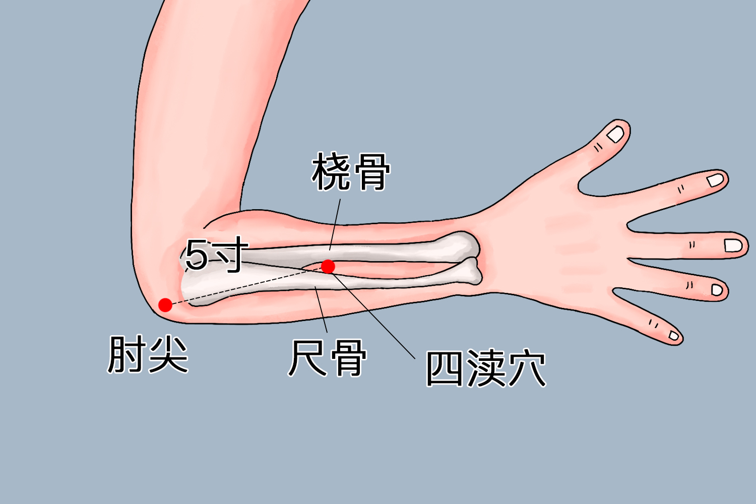 四渎准确位置图 四渎准确位置图