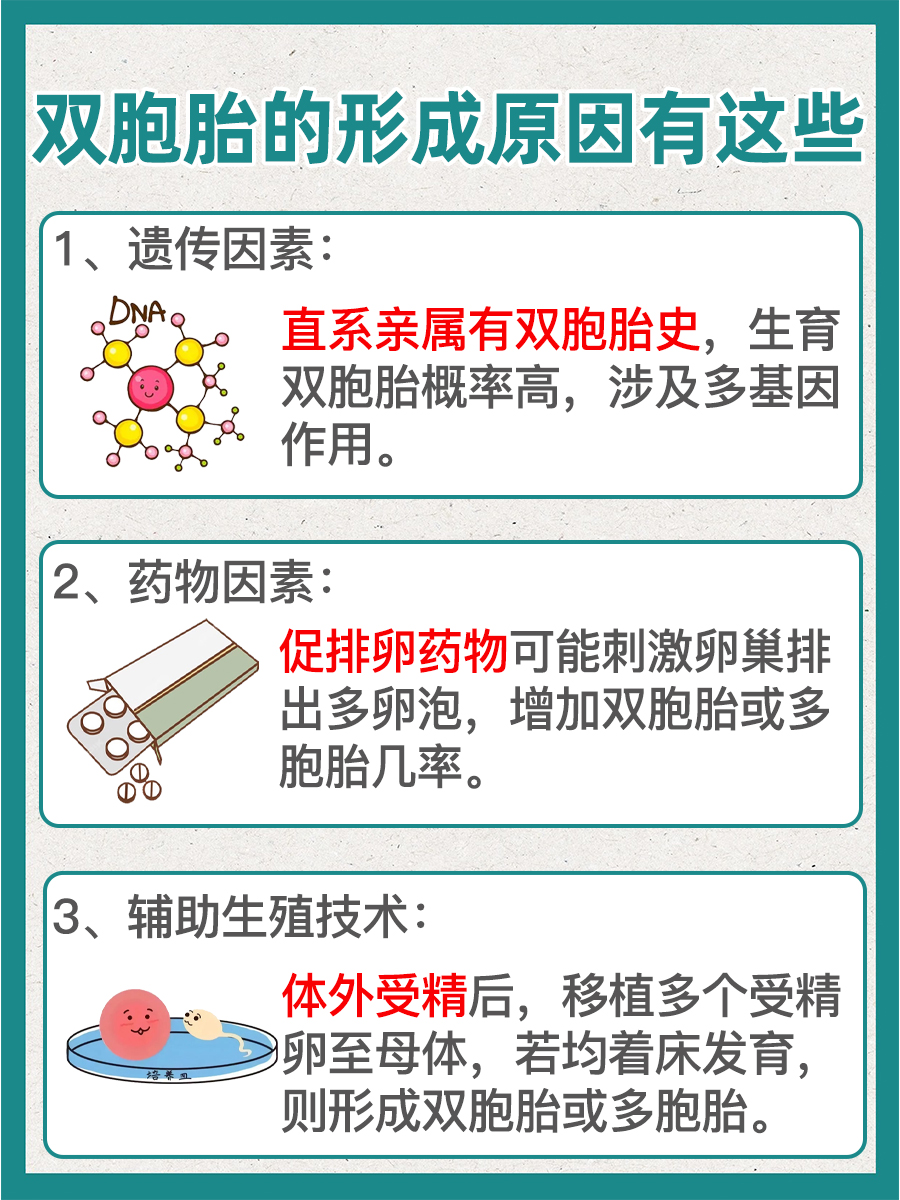 了解一下：双胞胎是怎么形成的