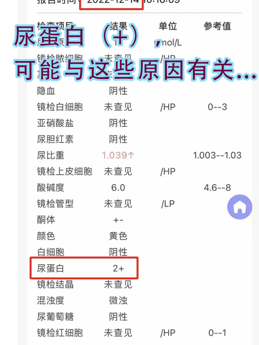 尿蛋白（+），可能与这些原因有关...
