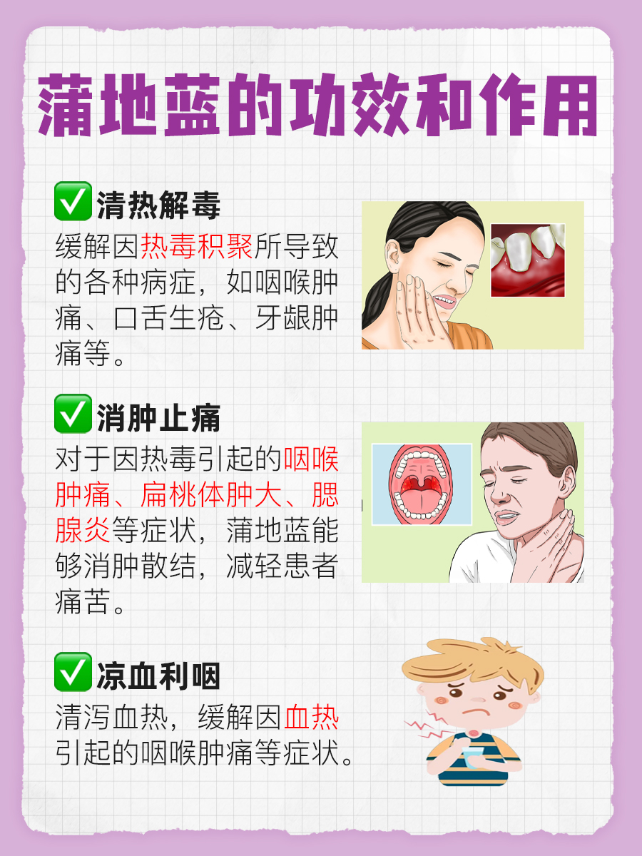 快速了解:蒲地蓝的功效和作用