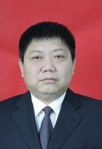 杨宏宏