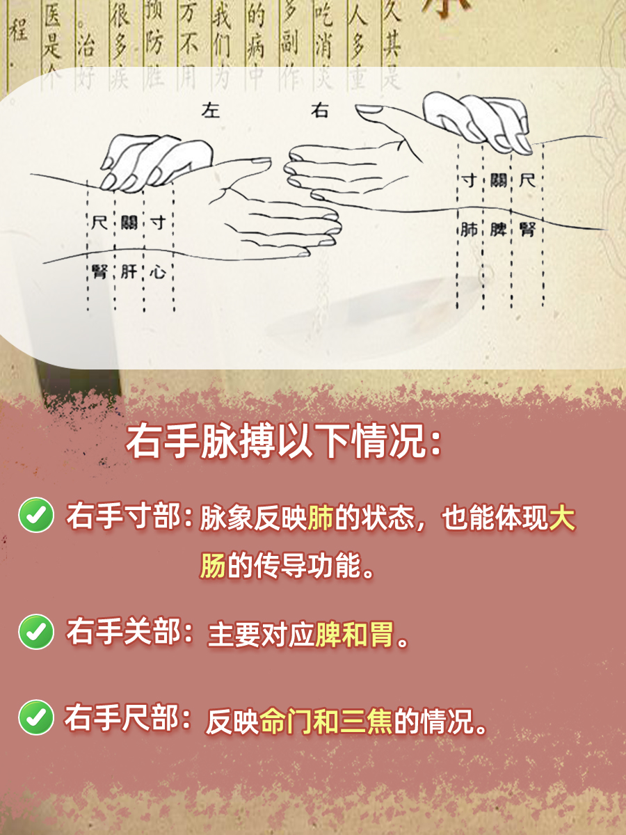 快来看，揭秘左手脉搏和右手脉搏分别代表什么？