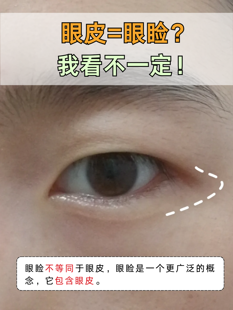 眼皮=眼睑？我看不一定！