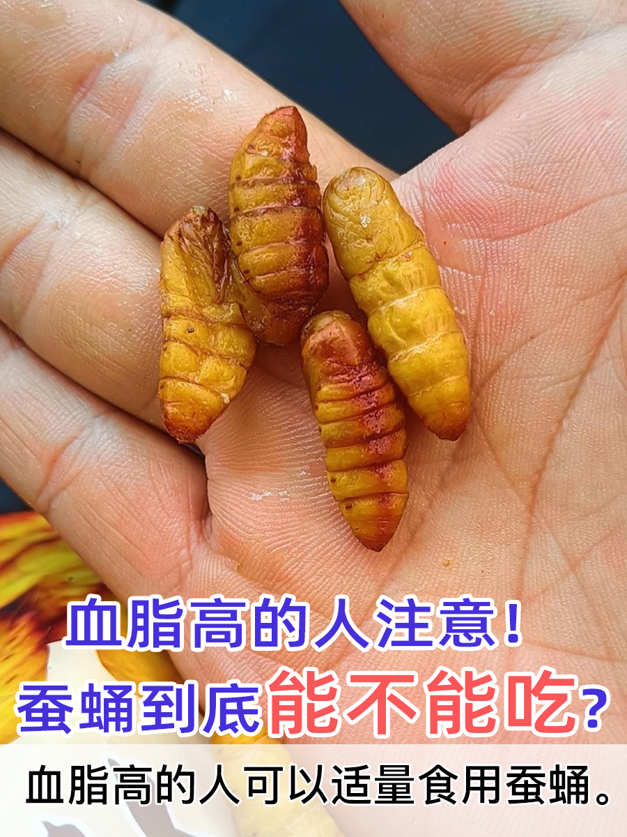 血脂高的人注意！蚕蛹到底能不能吃？