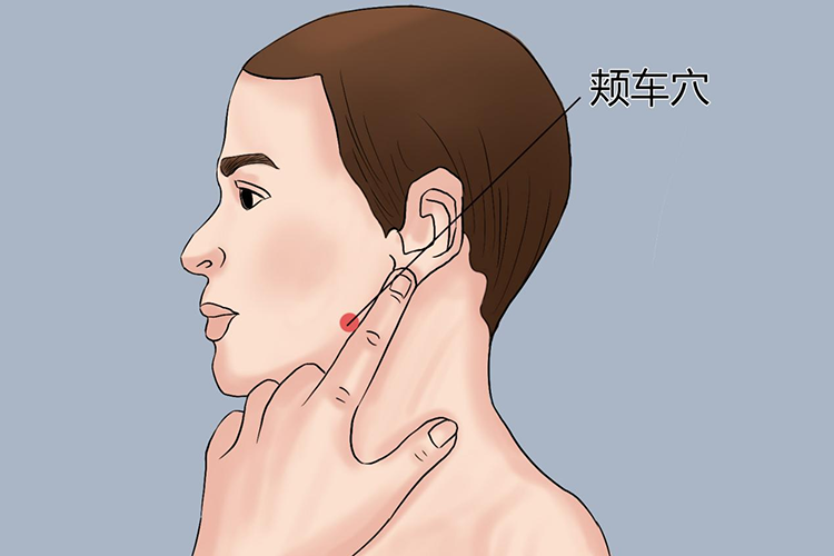 地仓颊车的准确位置图图片