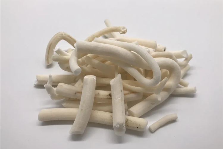 小通草图 小通草图