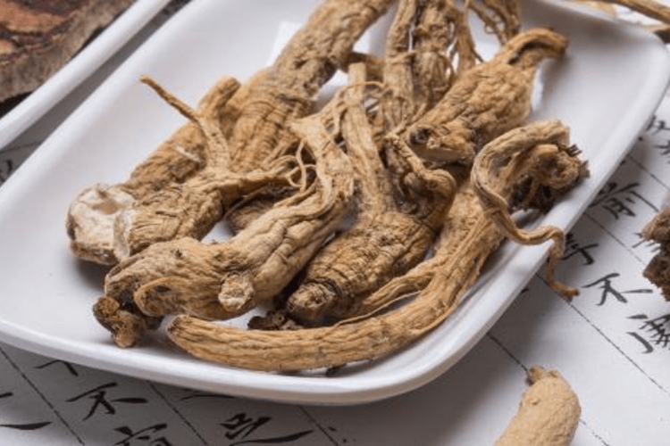 中药当归图 中药当归图