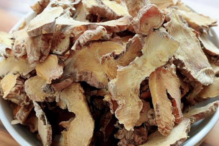 中药扁竹叶根茎图