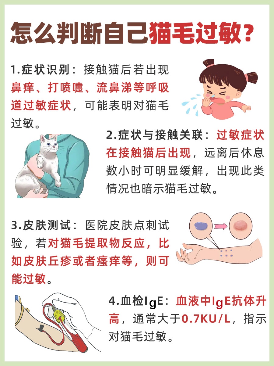 医生解析：怎么判断自己猫毛过敏？
