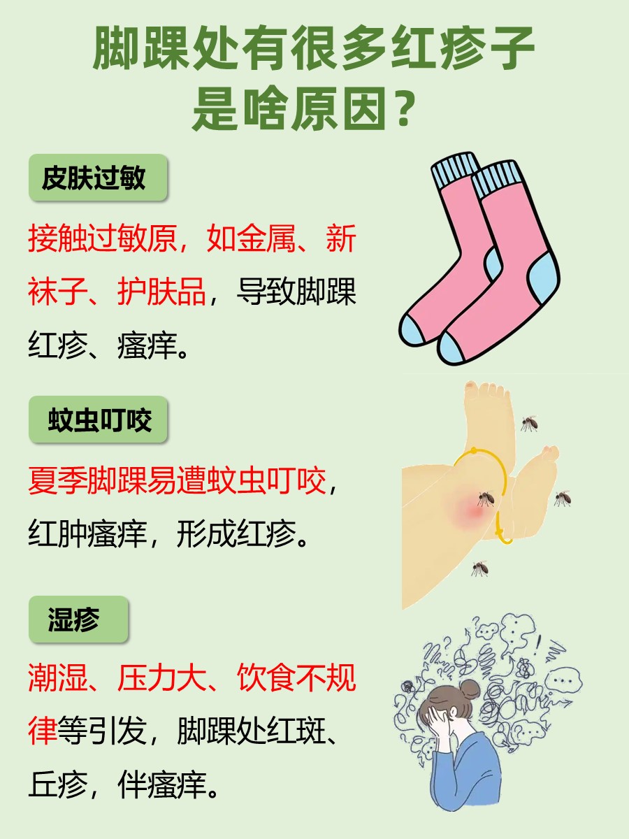 解答：脚踝处有很多红疹子是啥原因？
