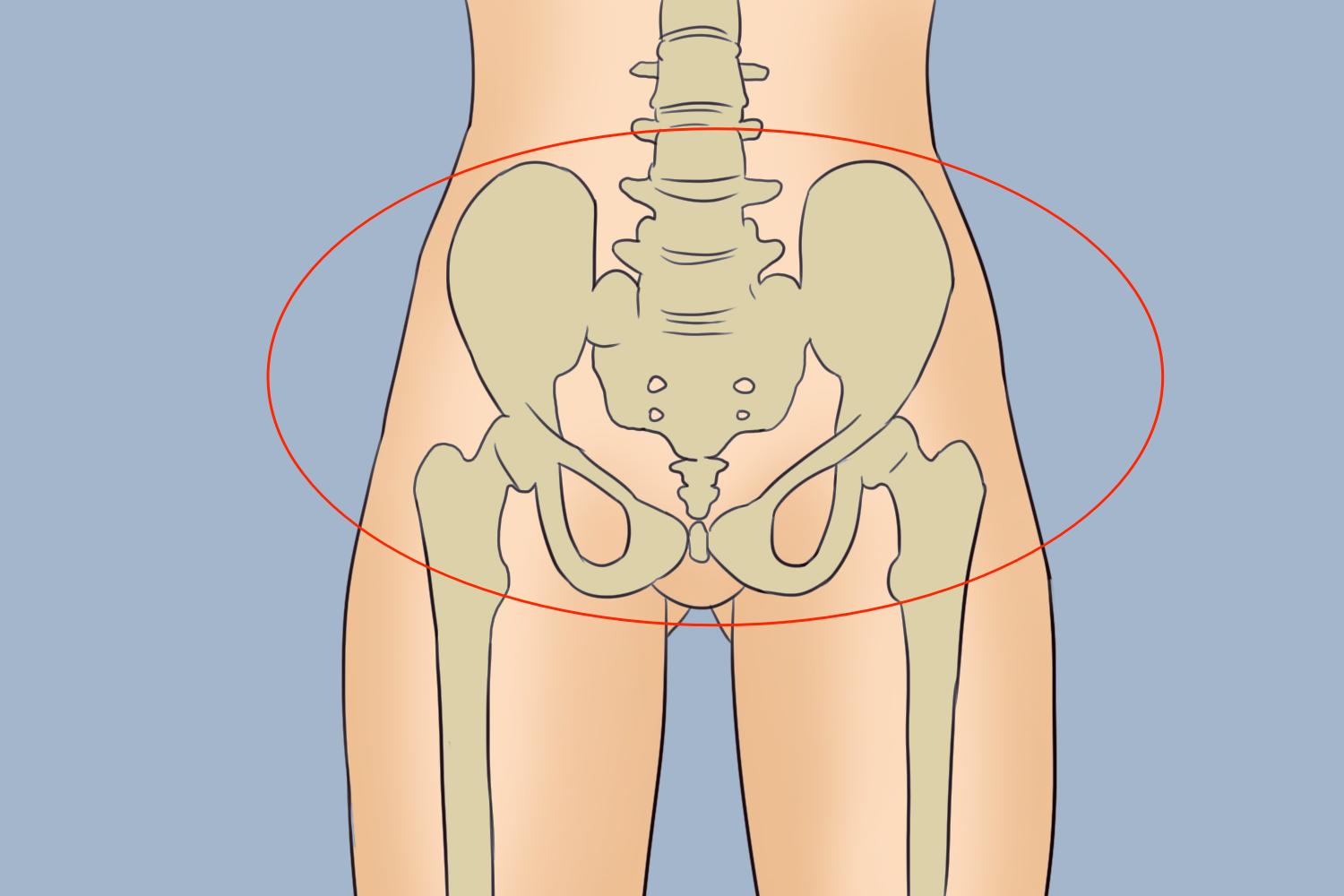 直肠和盆腔位置图片