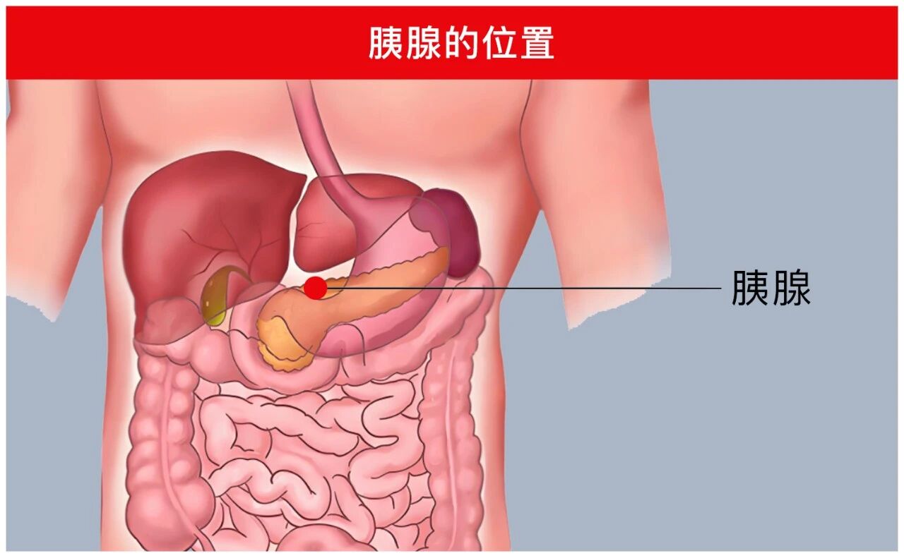 微信图片_2026-05-09_134417_457.jpg