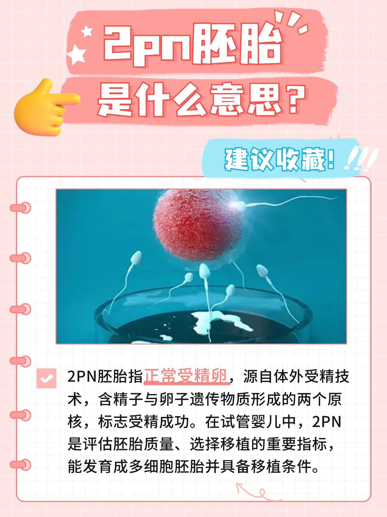 2PN胚胎是什么意思？医生告诉你答案