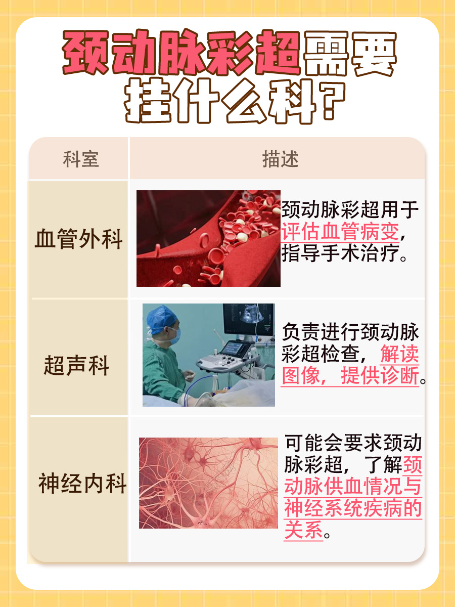带你了解：颈动脉彩超挂什么科？