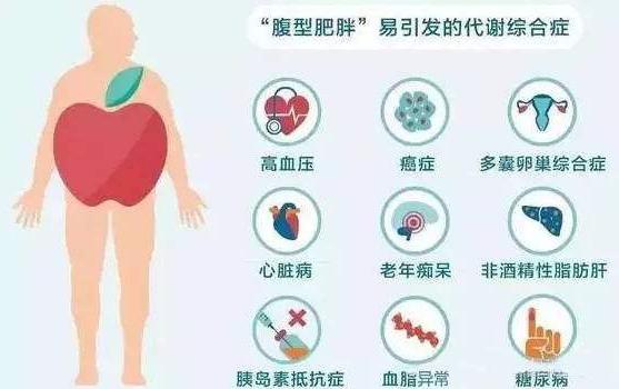 男人将军肚减肥方法