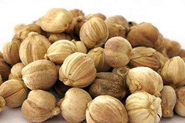 白蔻药材性状图 白蔻药材性状图