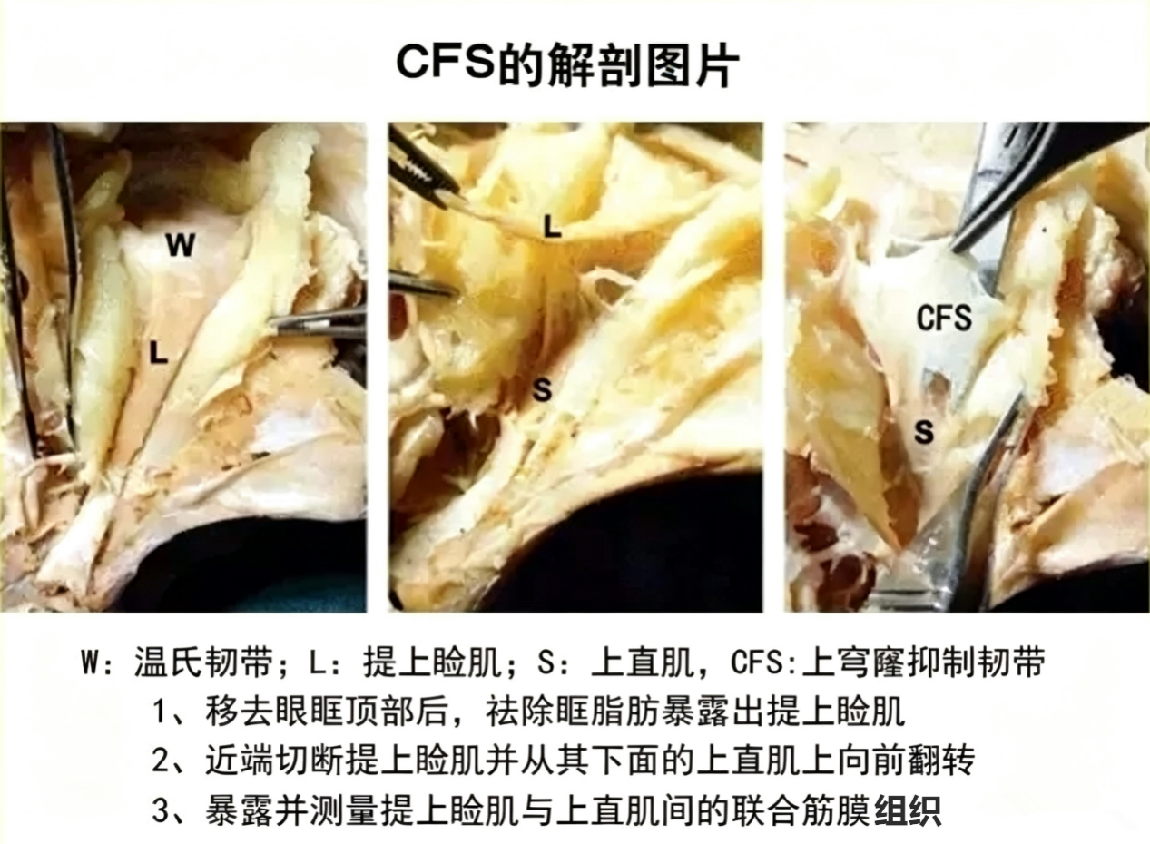 图片35.png