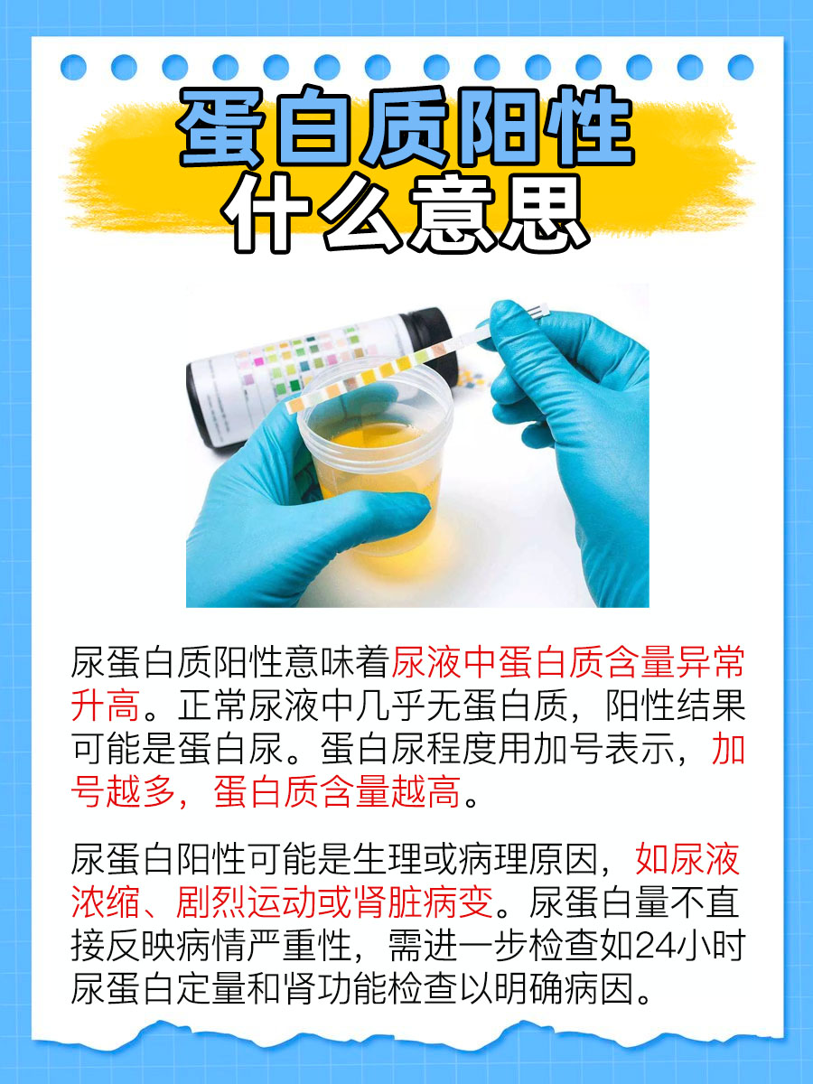蛋白质阳性是什么意思？医生解答