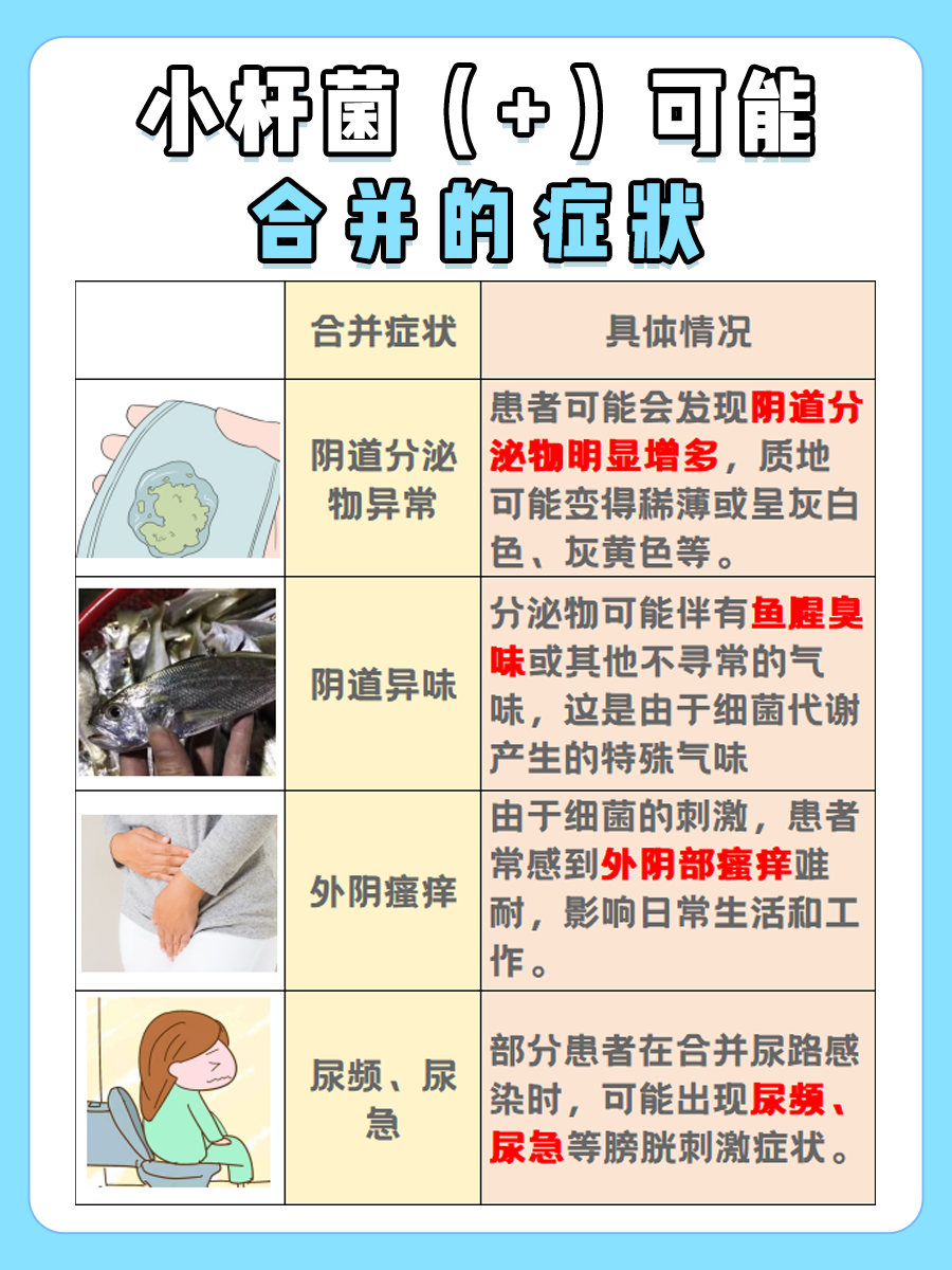 小杆菌（+）是什么意思？看完就懂了