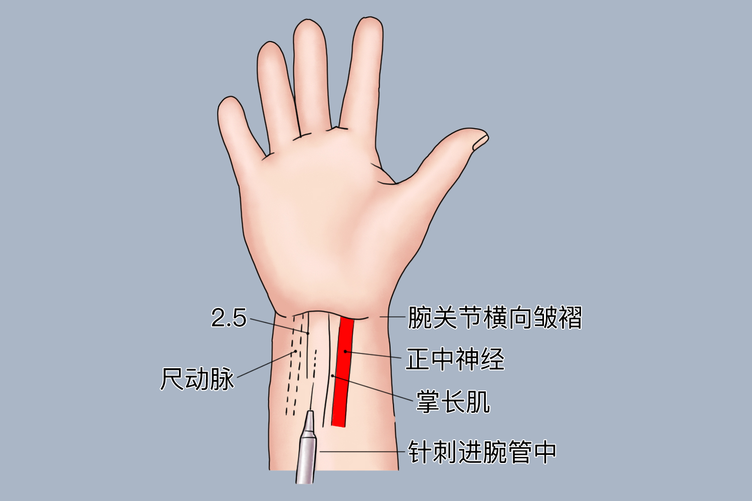 人一生能打几次封闭针