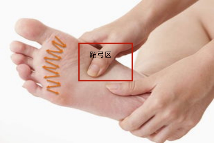 脚底跖弓区图 脚底跖弓区图