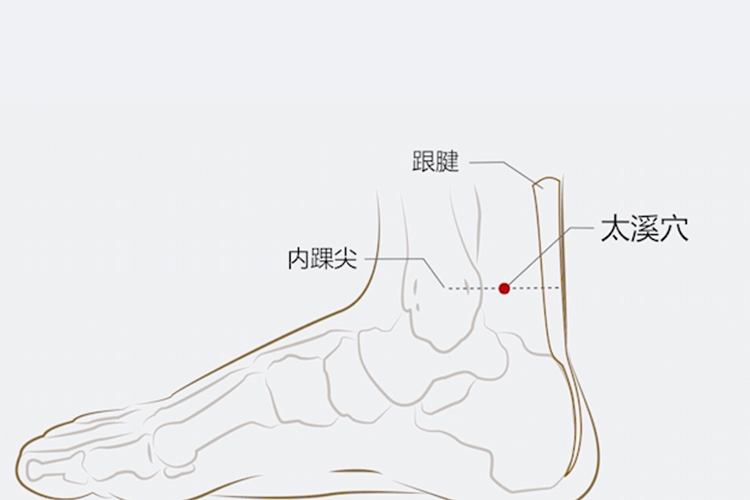 太溪穴位置图