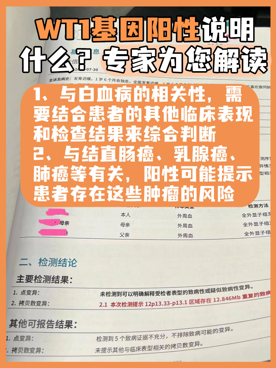 WT1基因阳性说明什么？专家为您解读