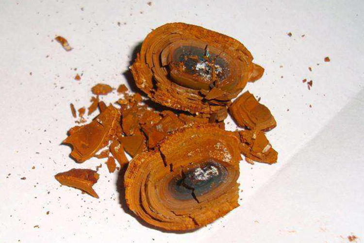 中药猴枣图 中药猴枣图