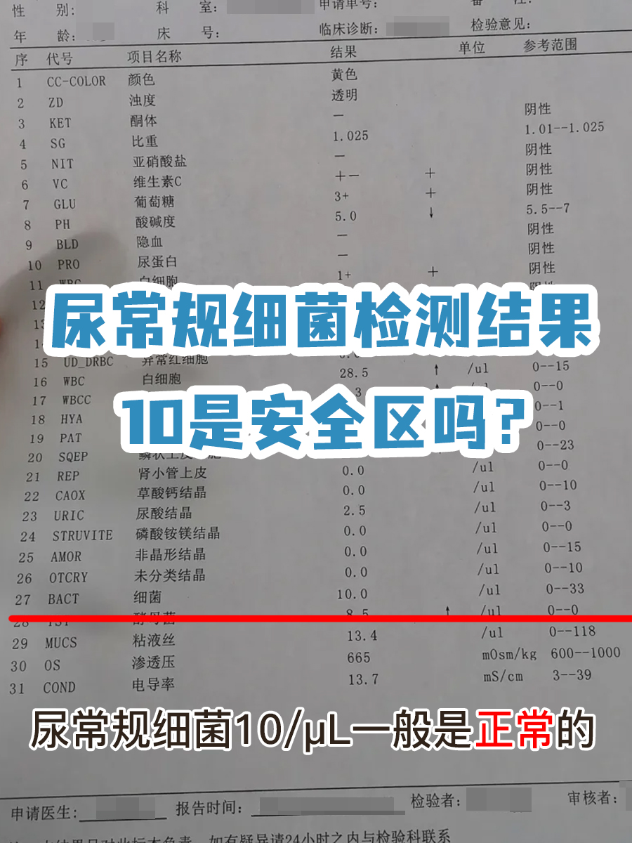 尿常规细菌检测结果,10是安全区吗?