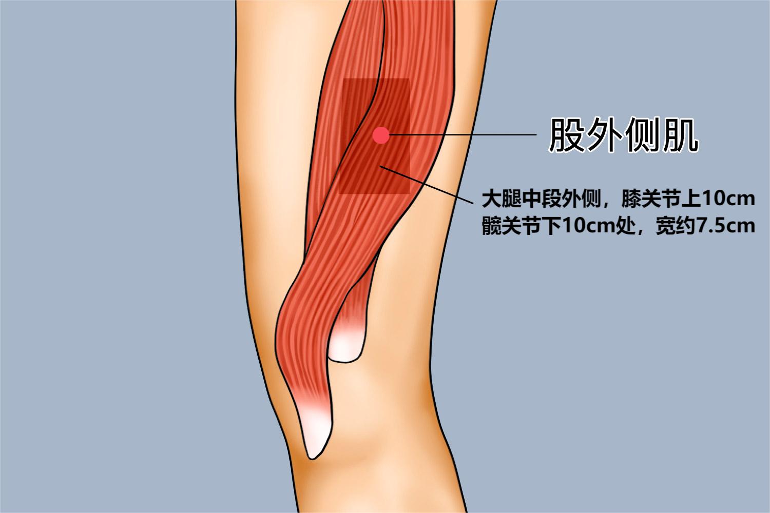 儿童大腿肌肉注射定位图