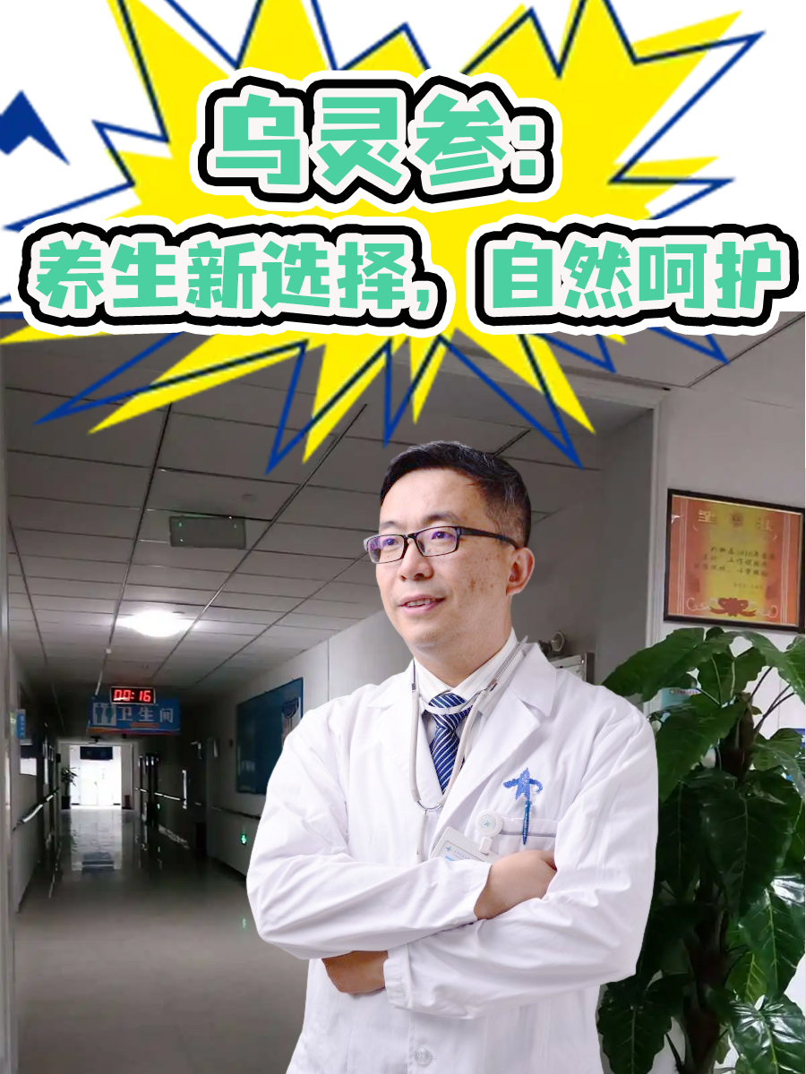 乌灵参：养生新选择，自然呵护