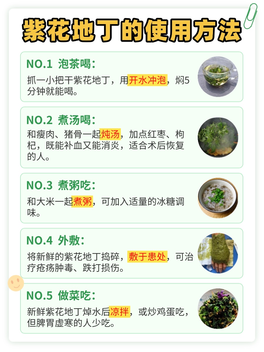 【中药小课堂】紫花地丁的功效与作用