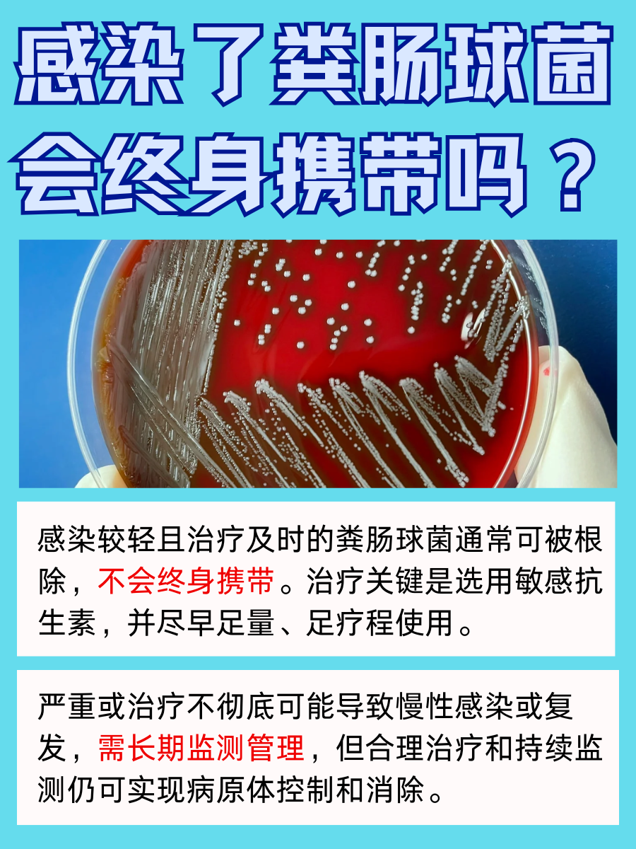 感染粪肠球菌，注定终身携带？未必！