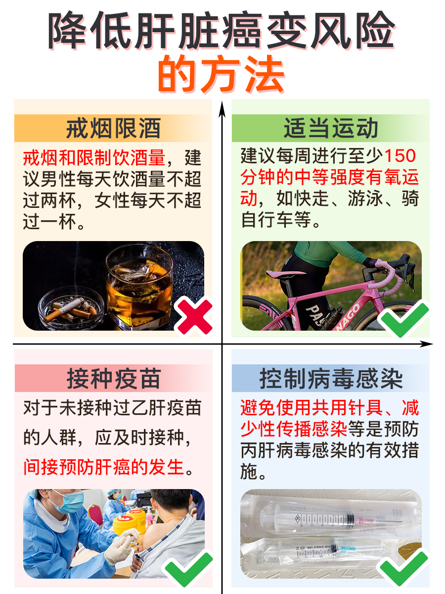 肝脏结构与癌变风险:肝S几段容易癌变?