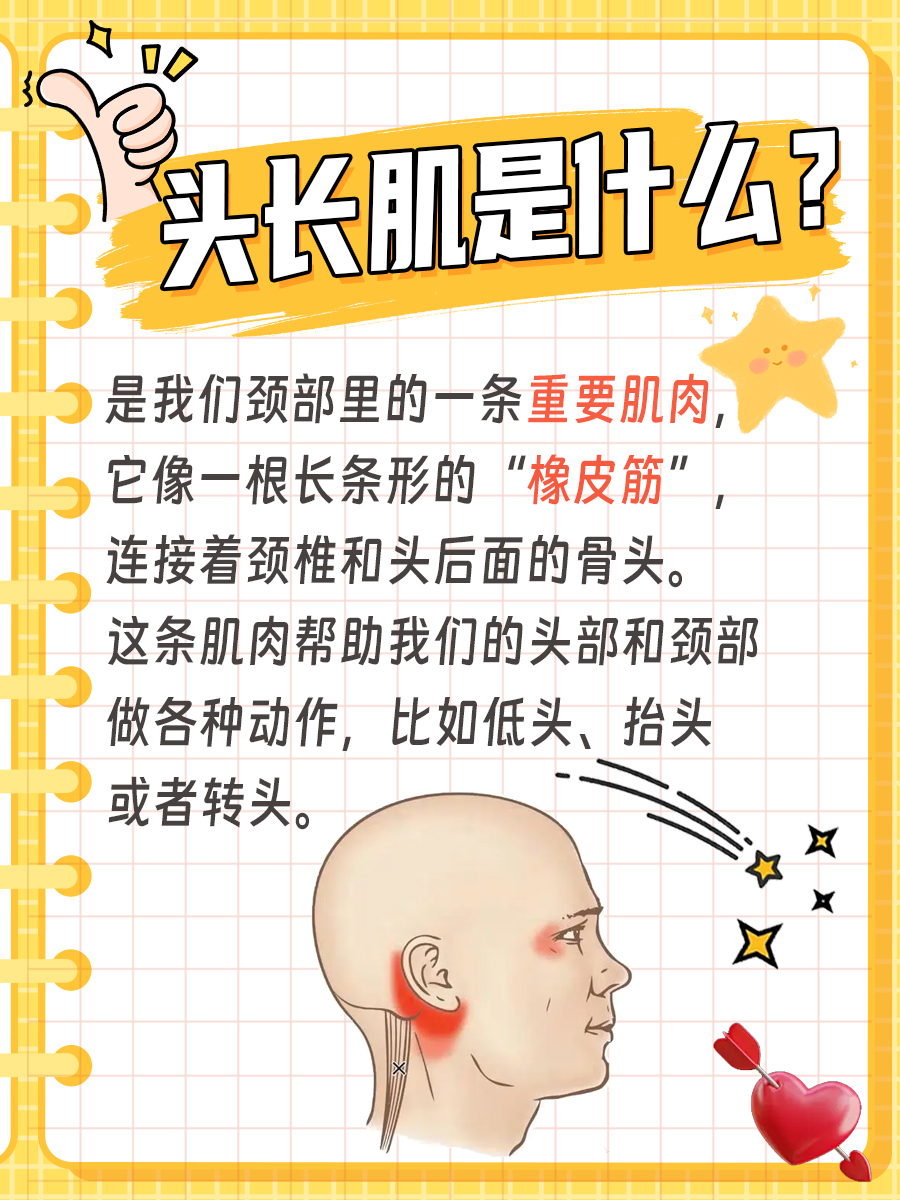 头长肌：颈部健康的守护者，你关注了吗？