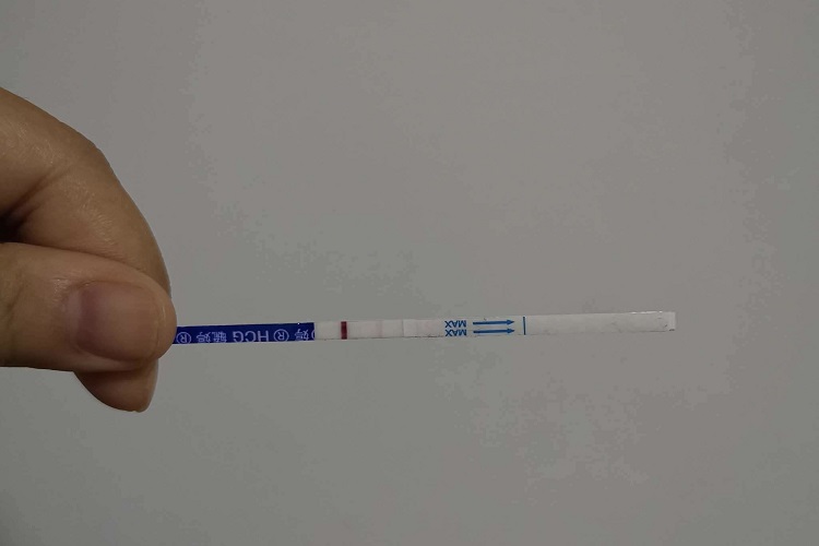 早孕试纸没怀孕一条杠图 早孕试纸没怀孕一条杠图