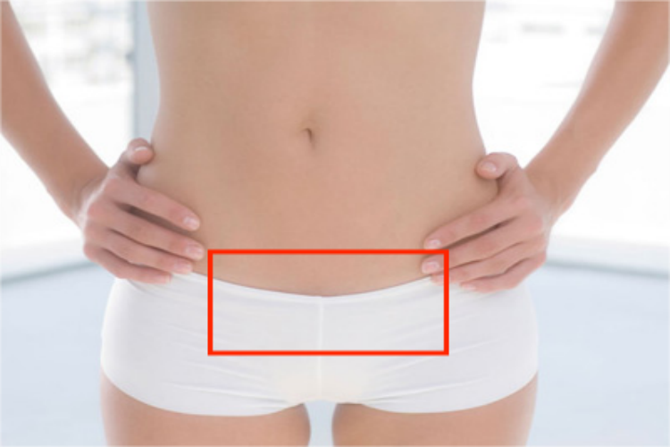 子宫体表投影位置图