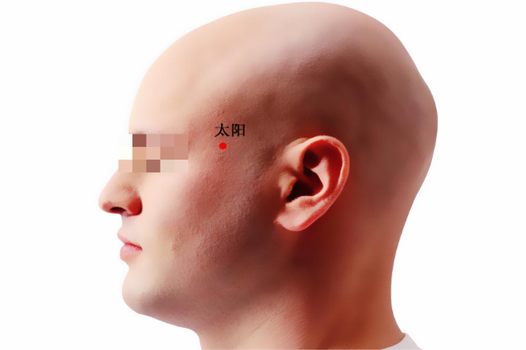 太阳穴位置图