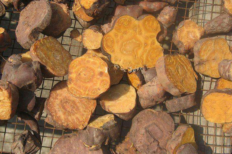 制何首乌药材图