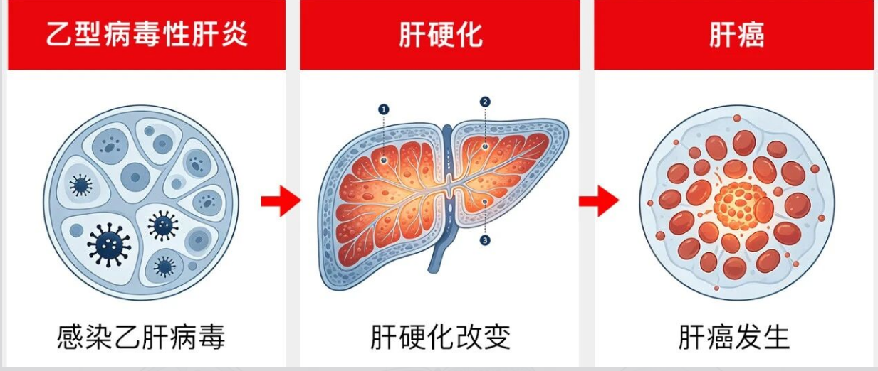 微信图片_20260819173142_212_14.png