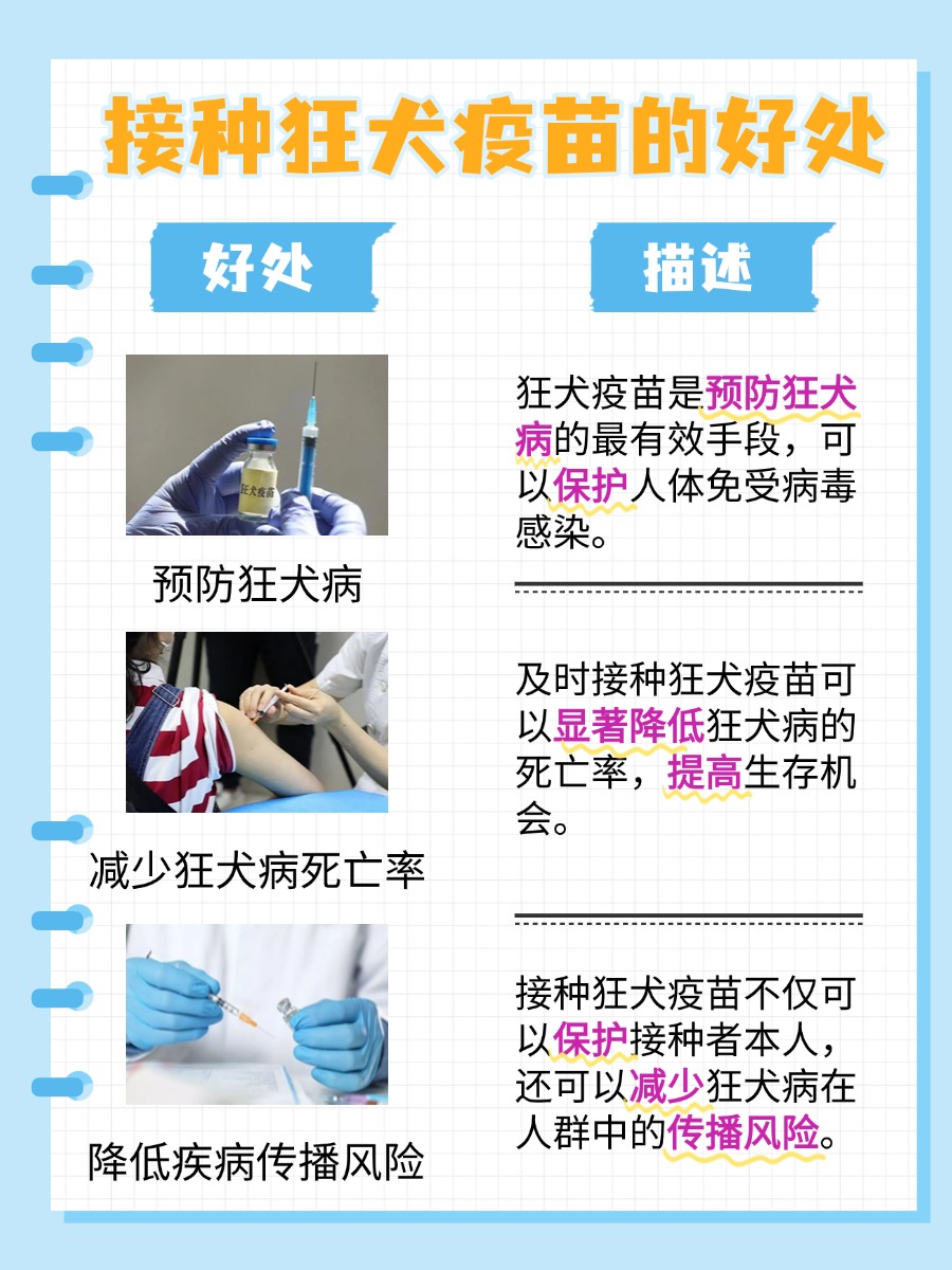 接种狂犬疫苗后是否可以吸烟：安全性指南