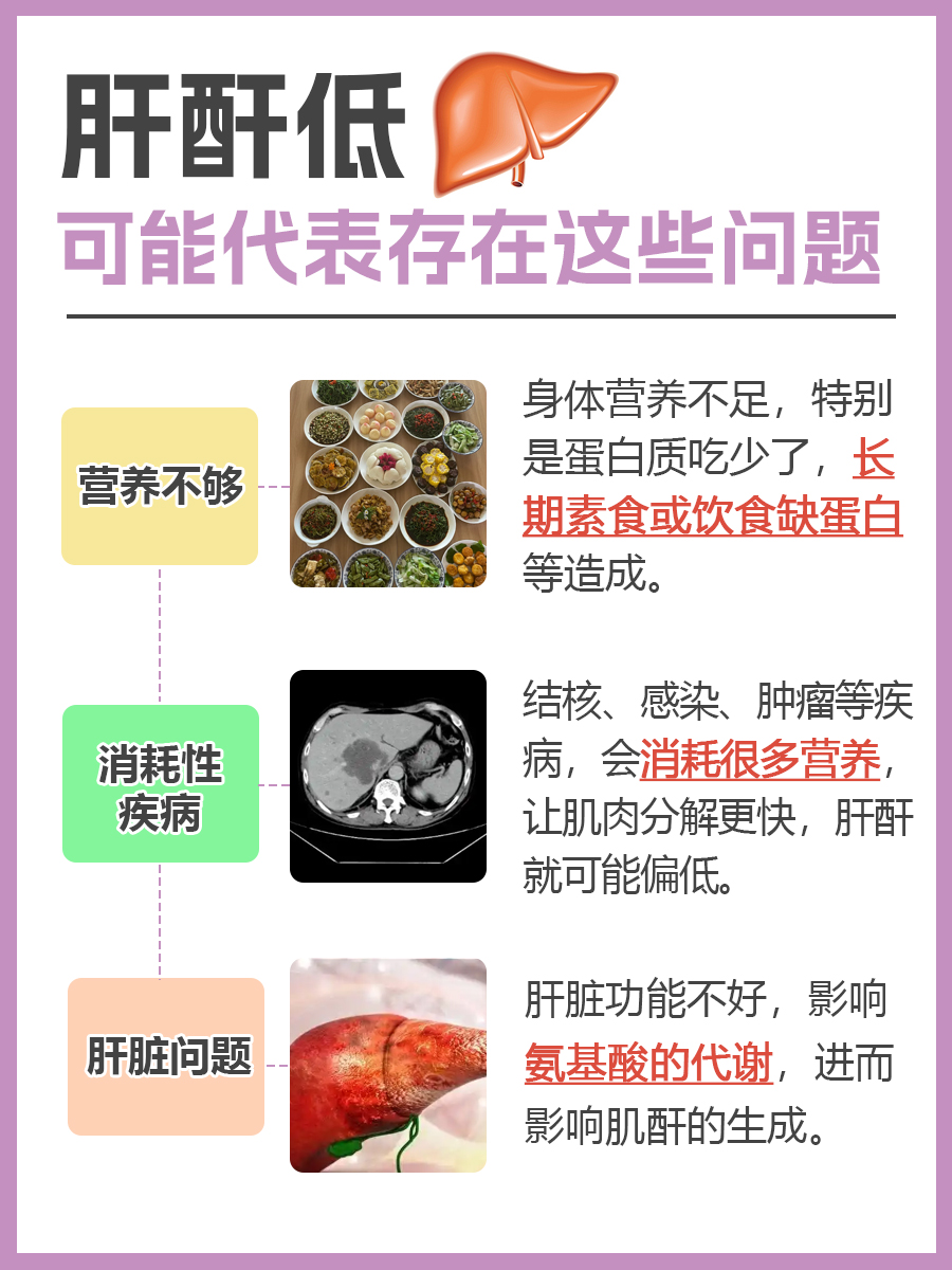 肝酐低是怎么回事？了解一下吧！