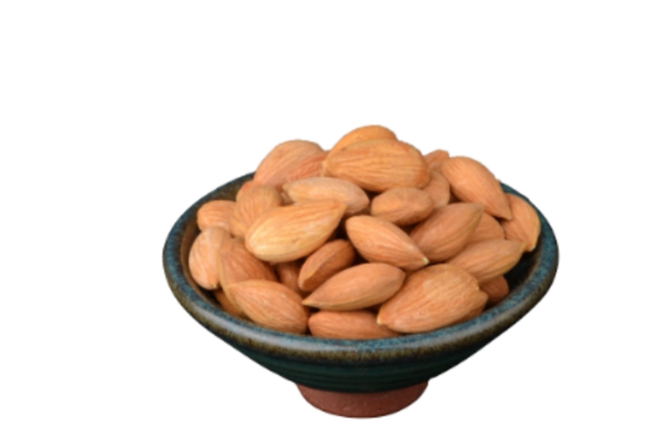 中药桃仁外观图 中药桃仁外观图