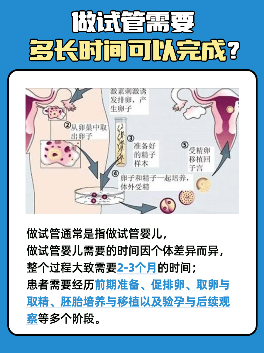 揭秘试管周期，全程耗时大揭秘