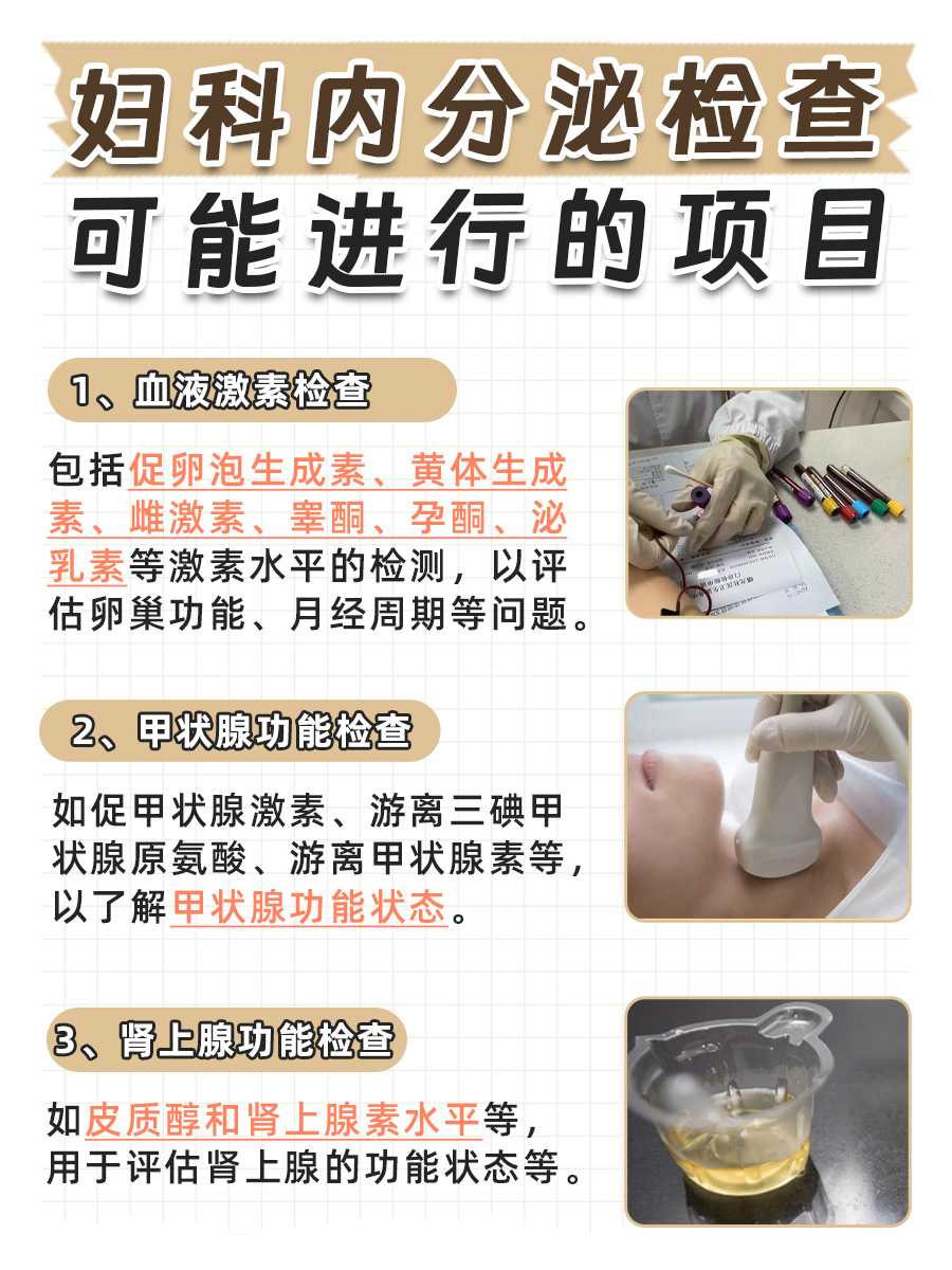 妇科内分泌与妇科：两者的区别